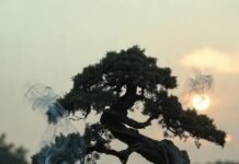 Meditation Rituals Inspired by Zen Traditions a slightly disheveled American guy in sweatpants sitting cross-legged on a cheap yoga mat in a cluttered living room,