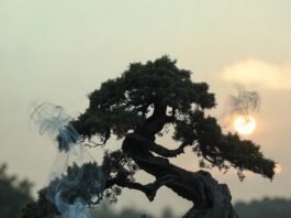 Meditation Rituals Inspired by Zen Traditions a slightly disheveled American guy in sweatpants sitting cross-legged on a cheap yoga mat in a cluttered living room,