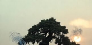 Meditation Rituals Inspired by Zen Traditions a slightly disheveled American guy in sweatpants sitting cross-legged on a cheap yoga mat in a cluttered living room,